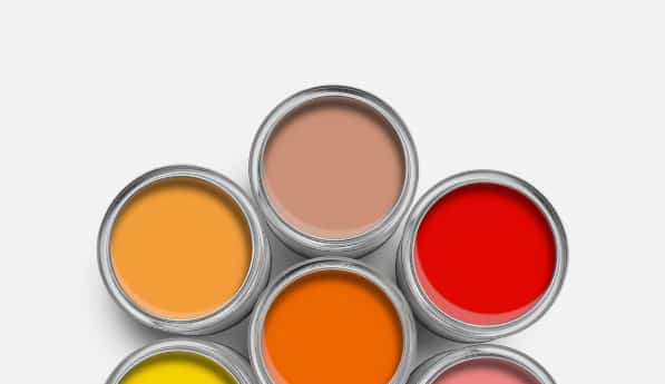 determinación inmediata del color colorímetro profesional Datacolor ColorReader Pro