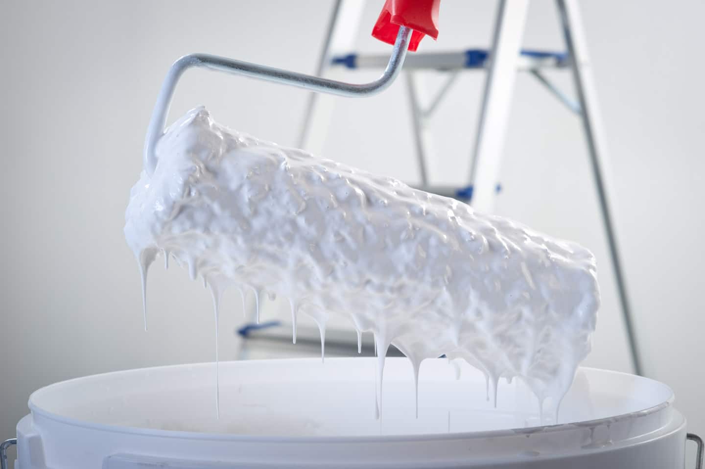 How to Paint Like a Pro Datacolor ColorReader