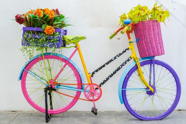 Fake,Plastic,Flower,In,Vase,On,Bicycle