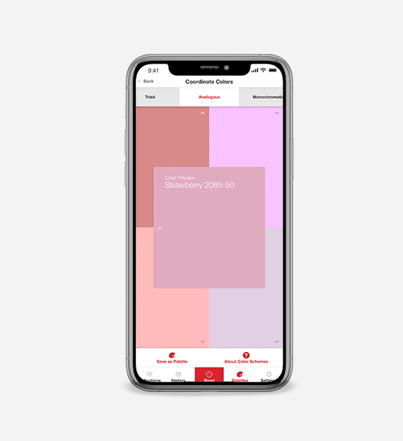 DC23_Strawberry_Coordinating_Colors