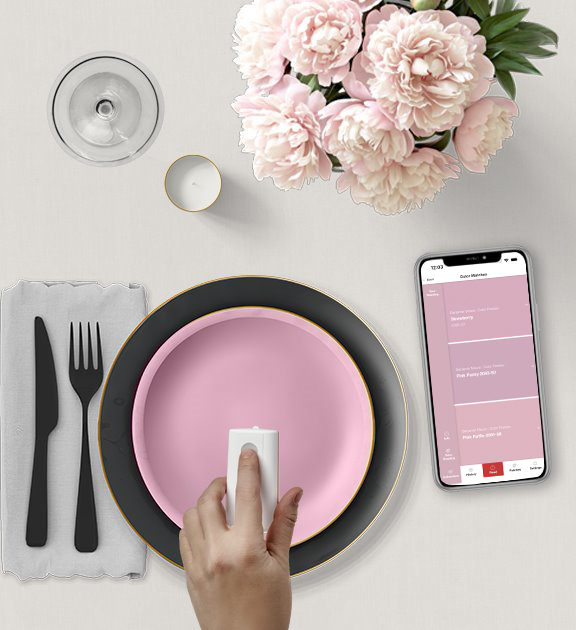 Plate with Fork and Knife