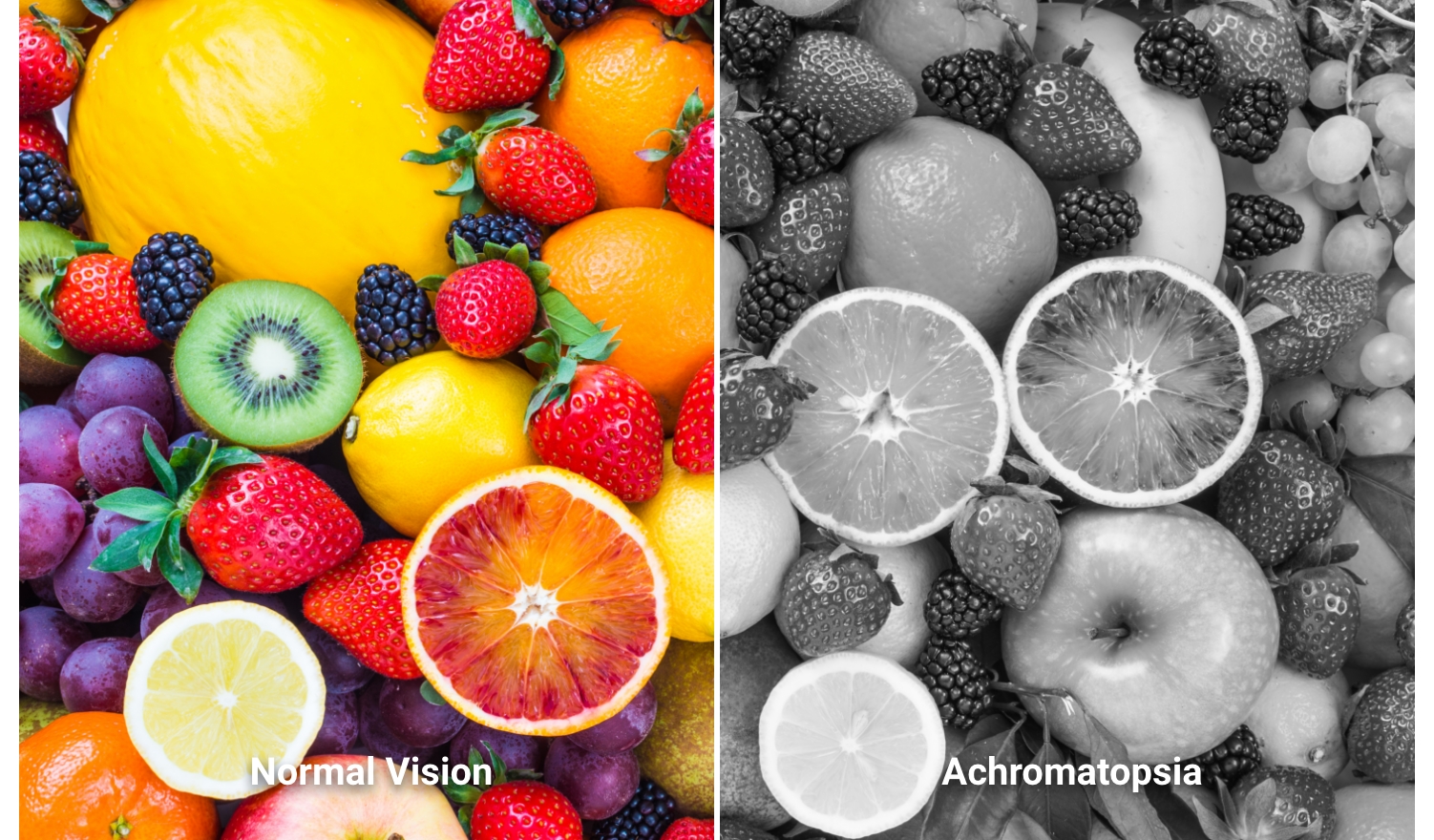 Deuteranopia-versus-achromaopsia-versus-tritanopia-versus-normal-vision
