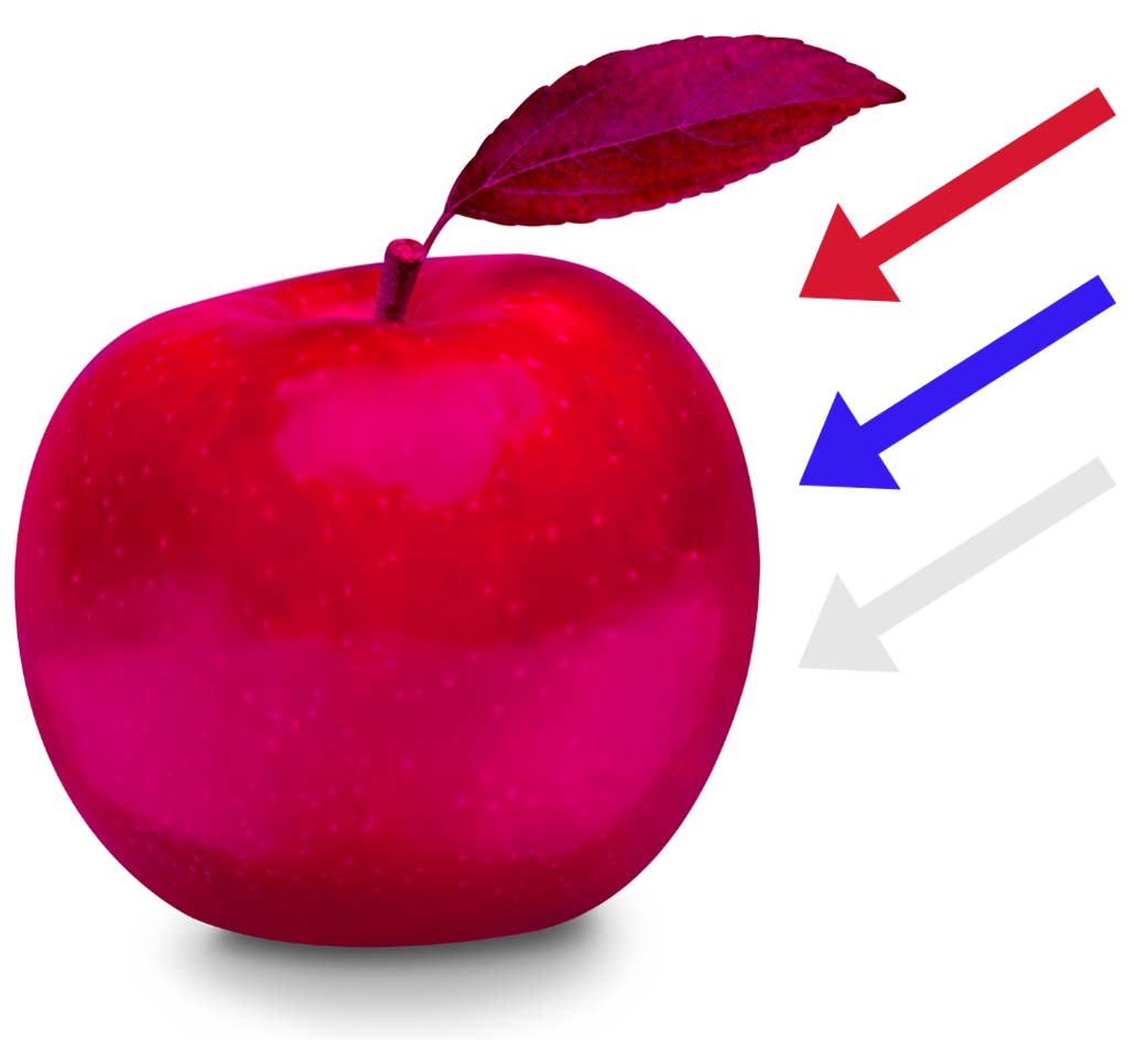apple-reflecting-different-wavelengths-of-light