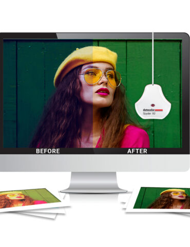 Monitor Calibration Myths & Facts