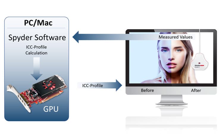 Spyder-X-Pro-Flow-chart-GPU-ICC-Profile