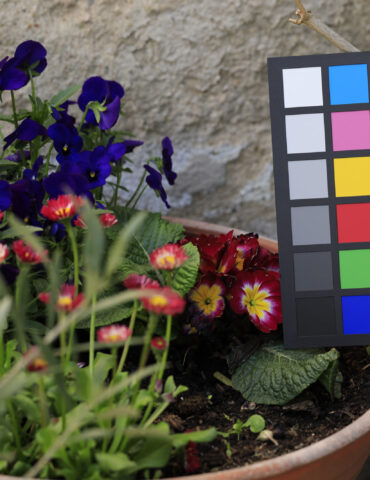 Why Color Correcting Your Digital Camera Makes Sense