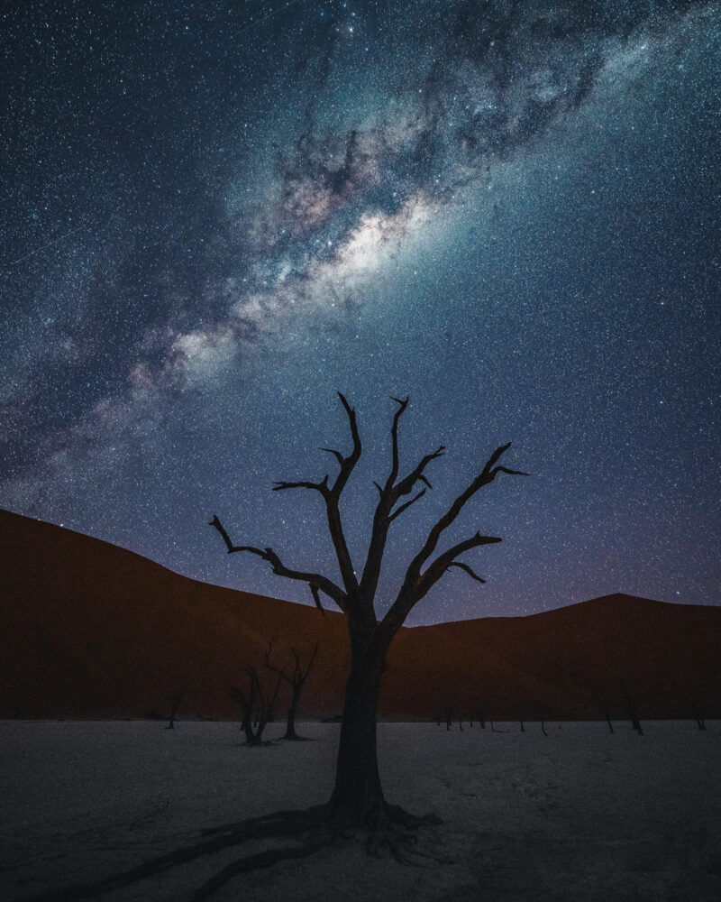 0383-06-tree_w_milky_way