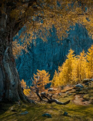 Questions for Ronja Linßen – Photo Contest “Opposites”