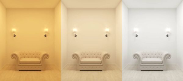 The Fascinating Science Behind Color Perception | Datacolor