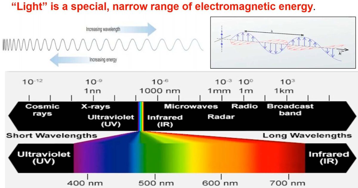 The Fascinating Science Behind Color Perception Datacolor