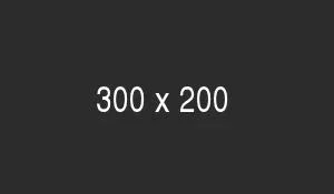 300x200