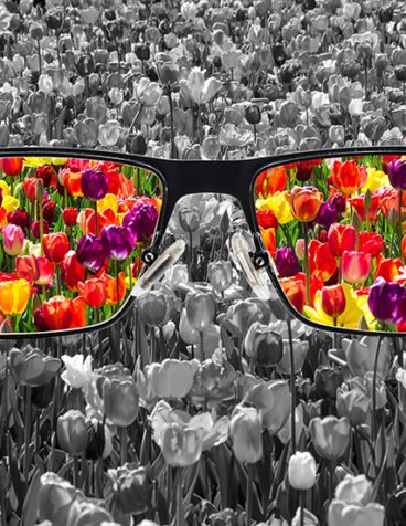 Eyeglasses with colorful tulips on the lenses on a background of black and white tulips.