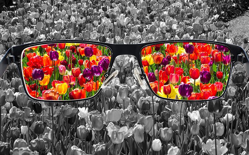 Eyeglasses with colorful tulips on the lenses on a background of black and white tulips.