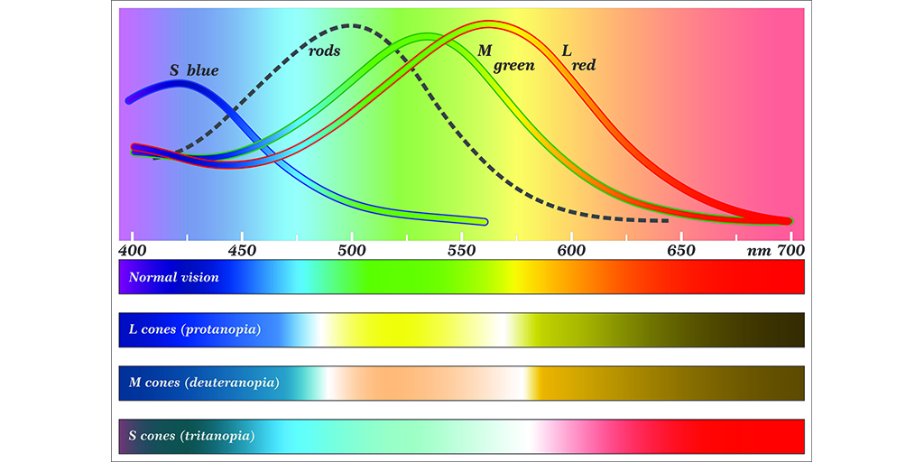 deficiências na visão de cores  